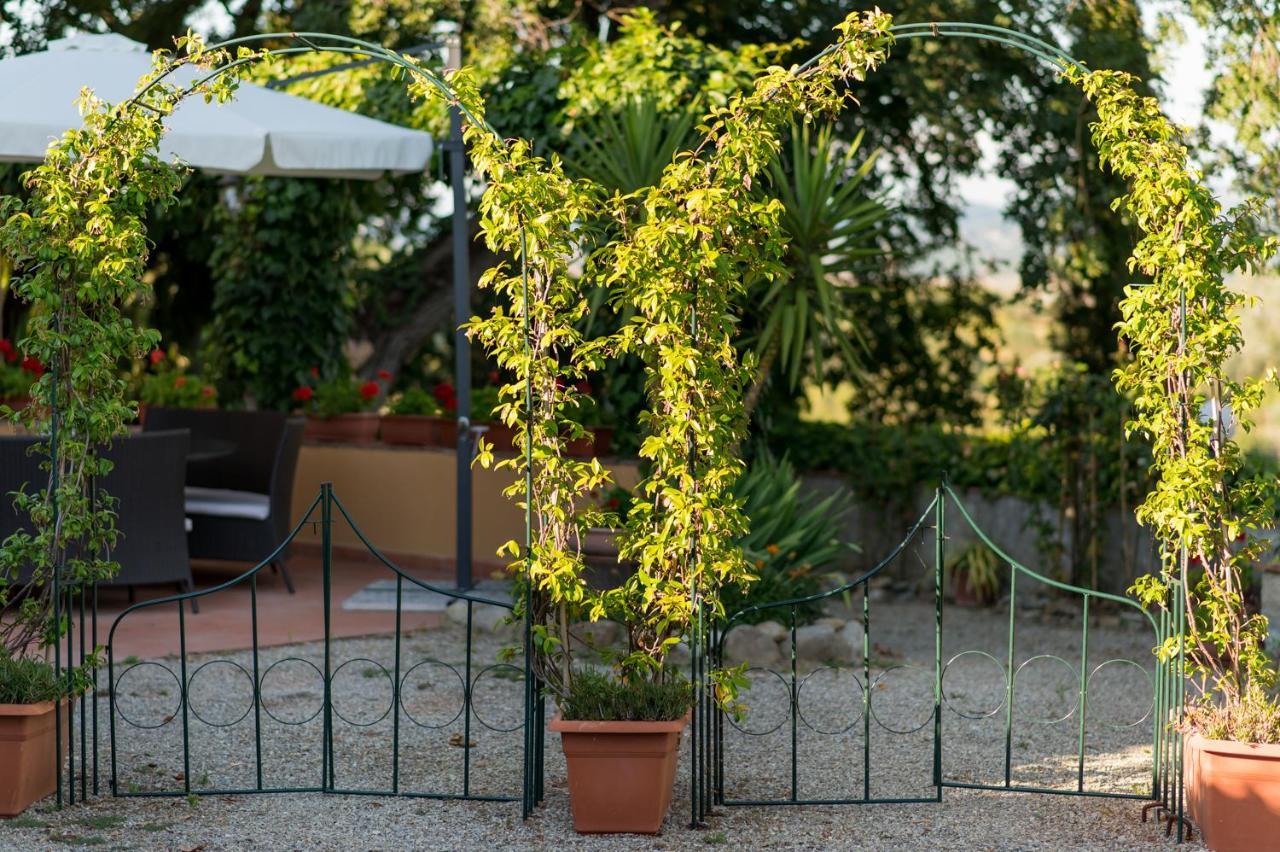 גאמבאסי Il Leccio - Casa Toscana San Gimignano מראה חיצוני תמונה