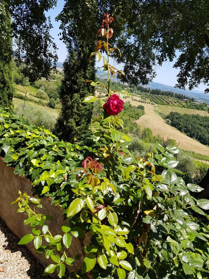 גאמבאסי Il Leccio - Casa Toscana San Gimignano מראה חיצוני תמונה