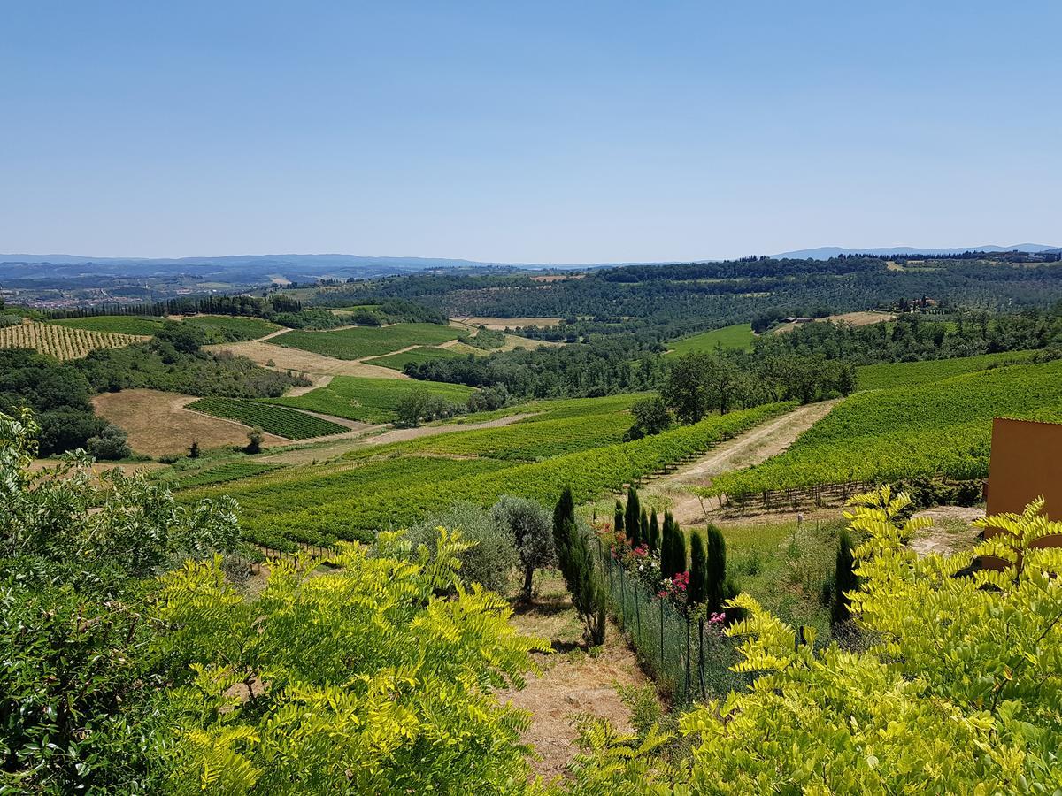 גאמבאסי Il Leccio - Casa Toscana San Gimignano מראה חיצוני תמונה